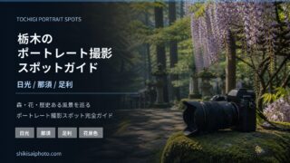 栃木のポートレート撮影スポットガイドを示す森と藤のアイキャッチ画像